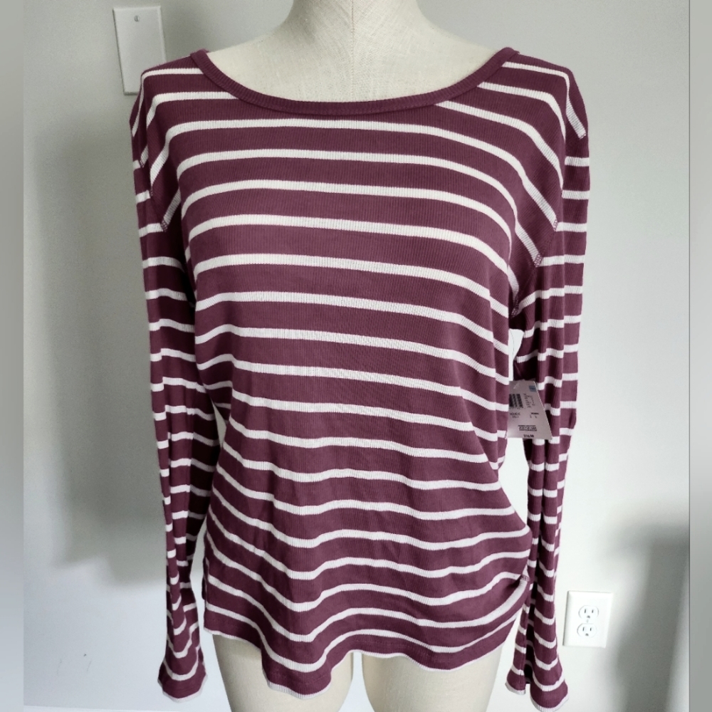 Basic Edition Top